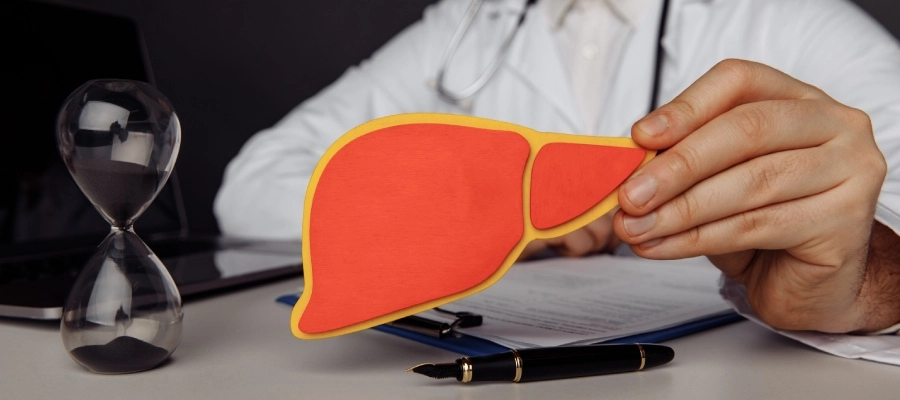 hepatócitos