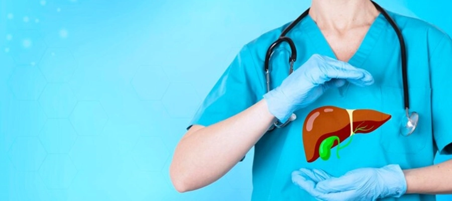 um médico segurando um fígado