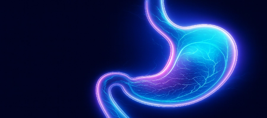 ilustração 3d da anatomia do estômago e do suco gástrico no trato digestivo.