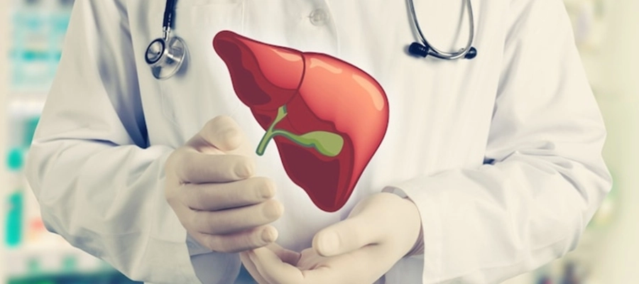 um médico segurando um fígado em suas mãos