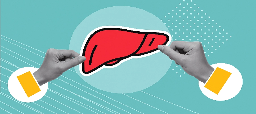 Ilustração gráfica de um fígado vermelho sendo segurado por duas mãos em estilo colagem, com fundo azul